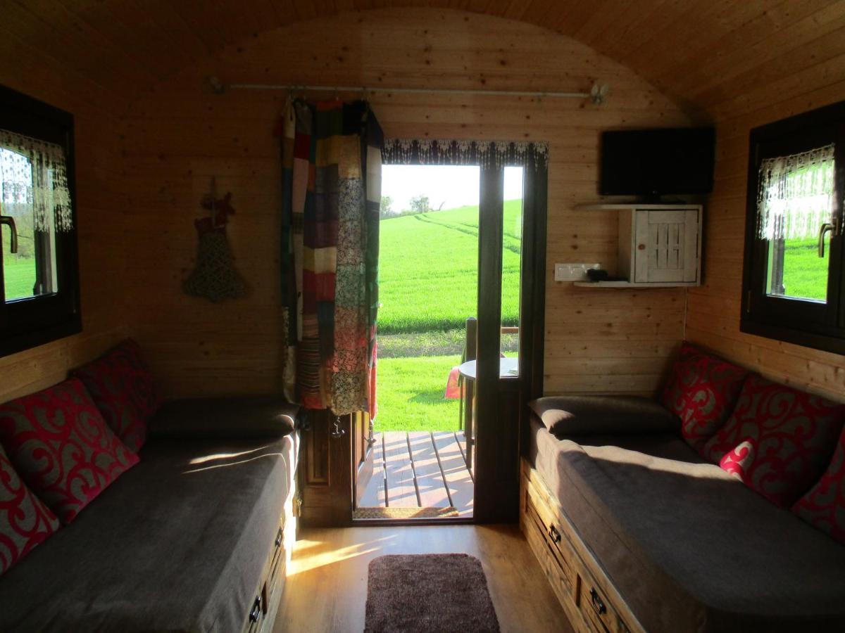 Roulotte Panoramique Du Moulin Bed & Breakfast Châtillon-sur-Marne Dış mekan fotoğraf